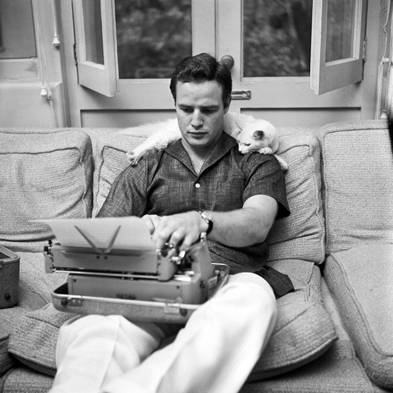 a correction: marlon brando with a cat is not paul newman with a cat